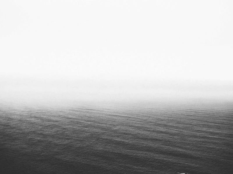 반찬집용진열장제품 - 맞춤형_사이즈_선택_가이드