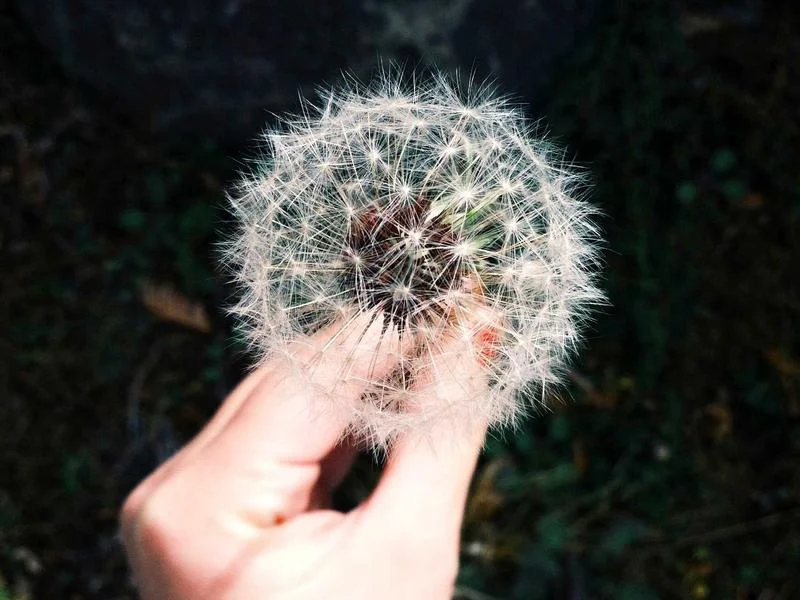 반찬집용오픈쇼케이스싼곳 - 2026년형_반찬_쇼케이스