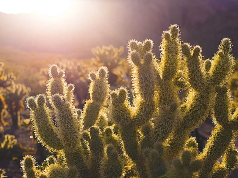 반찬집용냉장쇼케이스제품 - 하이엔드 쇼케이스의 마감 품질