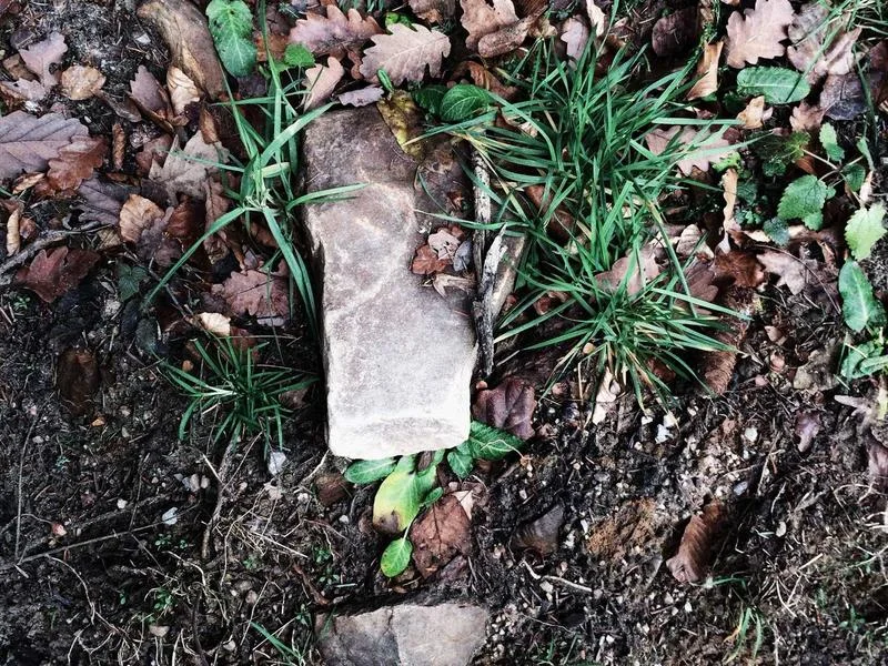 업소용쇼케이스업체 - 2026년 쇼케이스 선택 기준