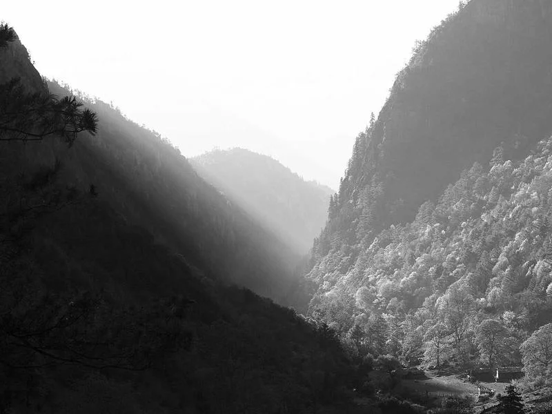 업소용쇼케이스업체추천 - 프리미엄_전시_효과