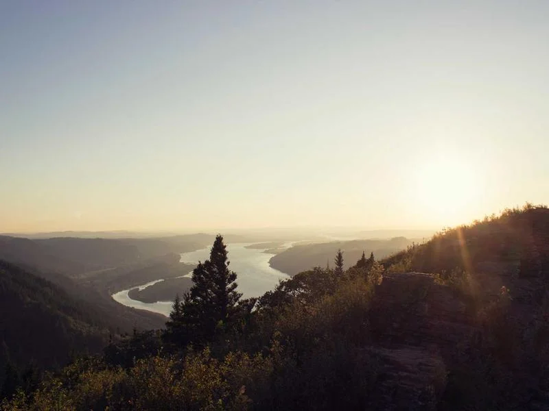 업소용쇼케이스싼곳 - 쇼케이스_선택의_기준