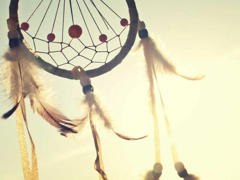 업소용쇼케이스싼곳 - 디지털_온도_제어_시스템