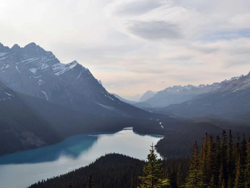 업소용냉장고싼곳 - 에너지효율등급_확인으로_전기세_절감하기