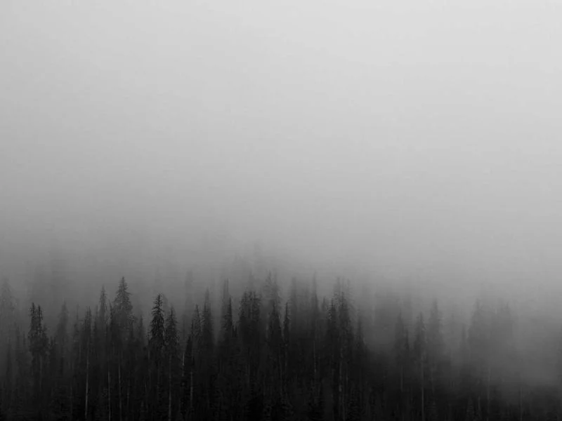 업소용냉장고제품 - 정밀_온도_제어_시스템