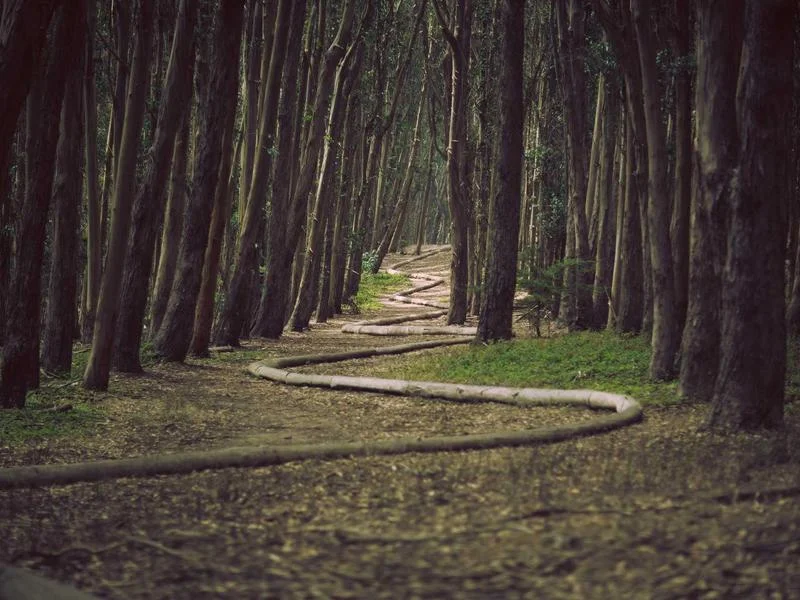 업소용냉장고제품 - 인테리어와_조화로운_쇼케이스