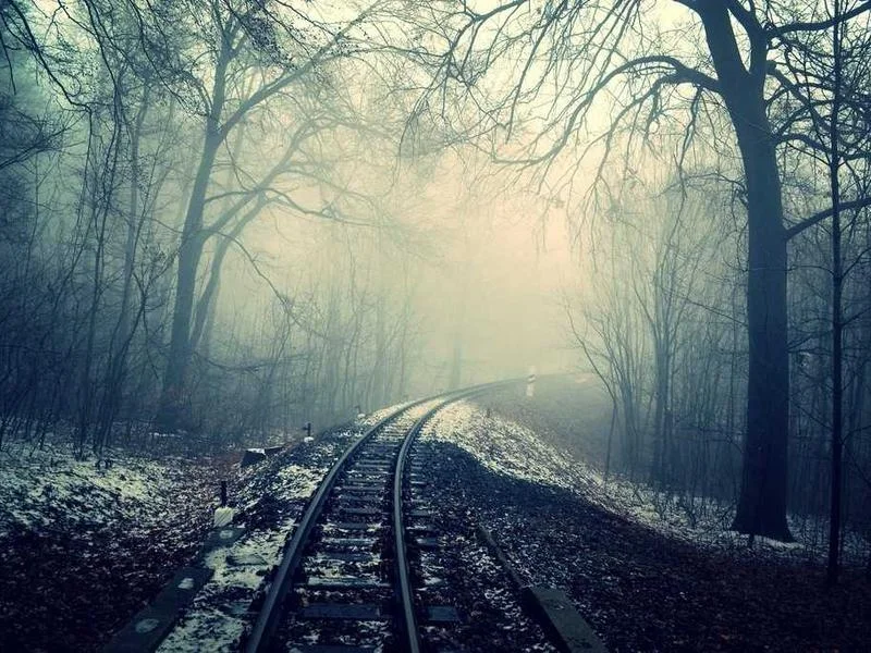 업소용냉장고제품추천 - 2026년 주방 트렌드 분석