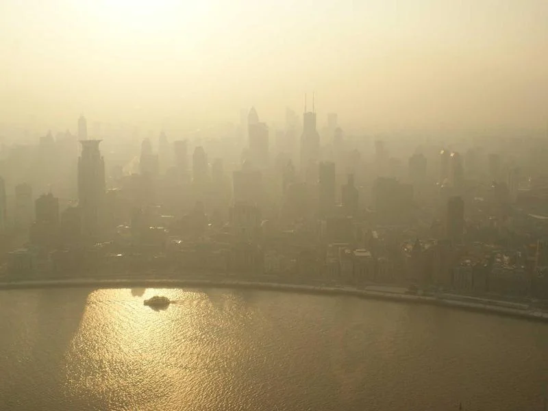 업소용진열장견적문의 - 매장 분위기를 결정하는 진열장