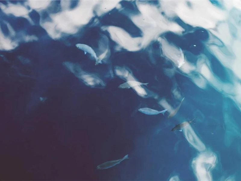 업소용진열장제품 - 2026년형_진열장_스펙_점검