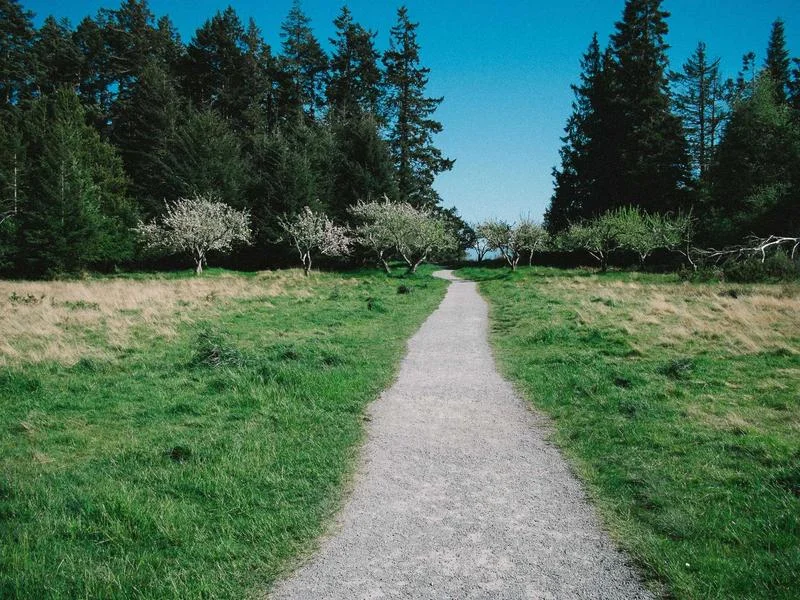 업소용알루미늄쇼케이스견적 - 매출을_높이는_디스플레이