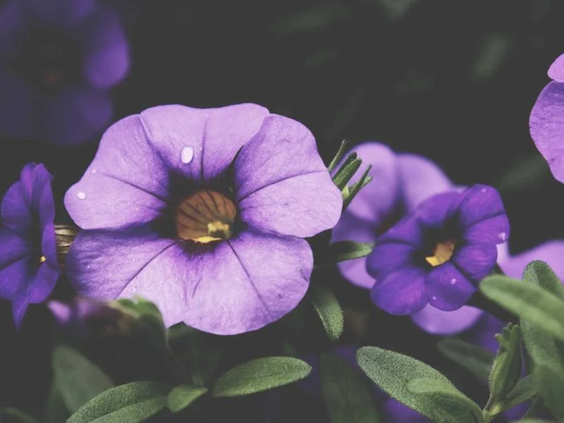 업소용LED쇼케이스추천 - 2026년형_프리미엄_쇼케이스