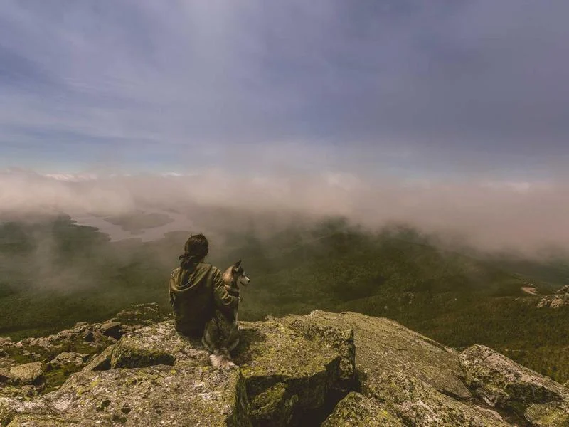 업소용LED쇼케이스비용 - 업종별_맞춤_쇼케이스_상담
