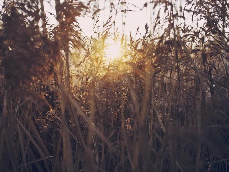 업소용뒷문쇼케이스제품 - 효율적인 후면 도어 구조