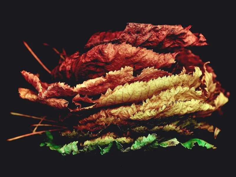 업소용뒷문쇼케이스제품 - 정밀한 디지털 온도 제어