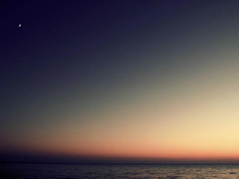 업소용뒷문쇼케이스제품추천 - 2026년형_뒷문형_쇼케이스