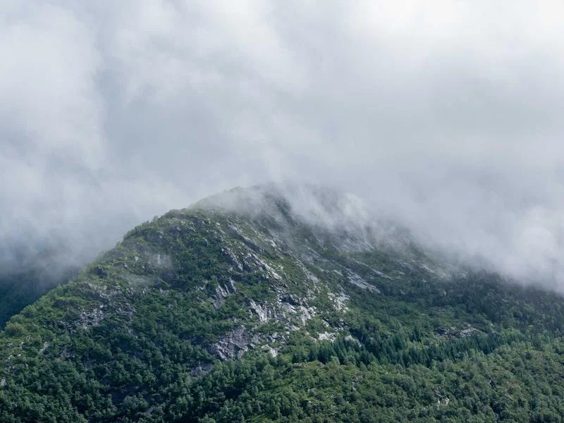 업소용앞문쇼케이스견적문의 - 안전한_배송_및_설치_과정