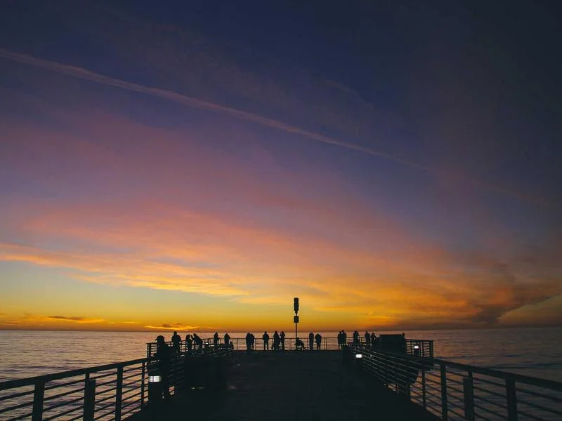 업소용앞문쇼케이스저렴한곳 - 2026년형 최신 쇼케이스