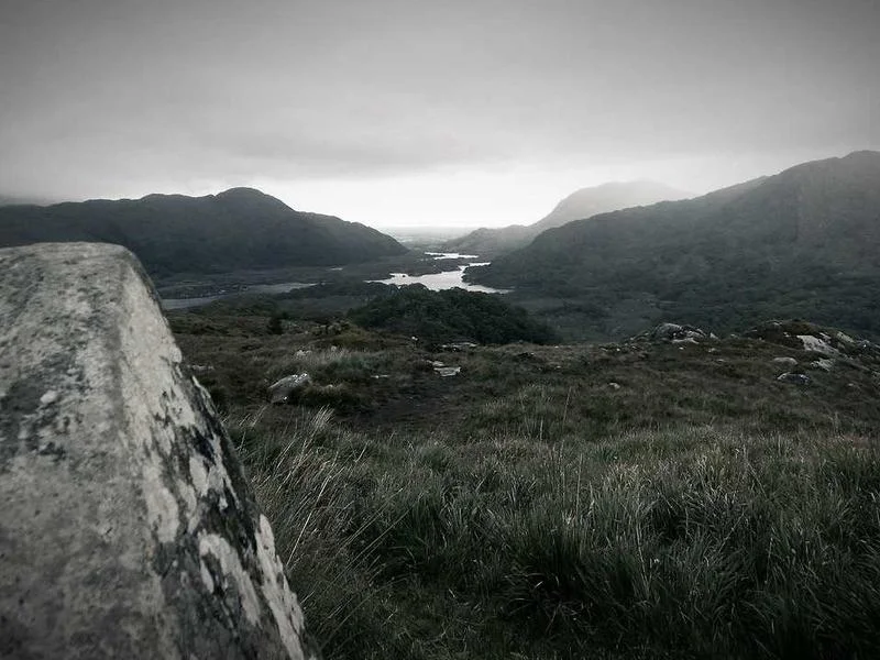 업소용앞문쇼케이스저렴한곳 - 직접 비교가 가장 정확합니다