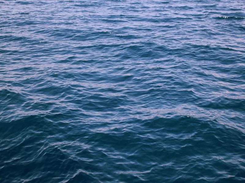 업소용오픈다단쇼케이스맞춤제작 - 정확한_실측이_맞춤제작의_시작