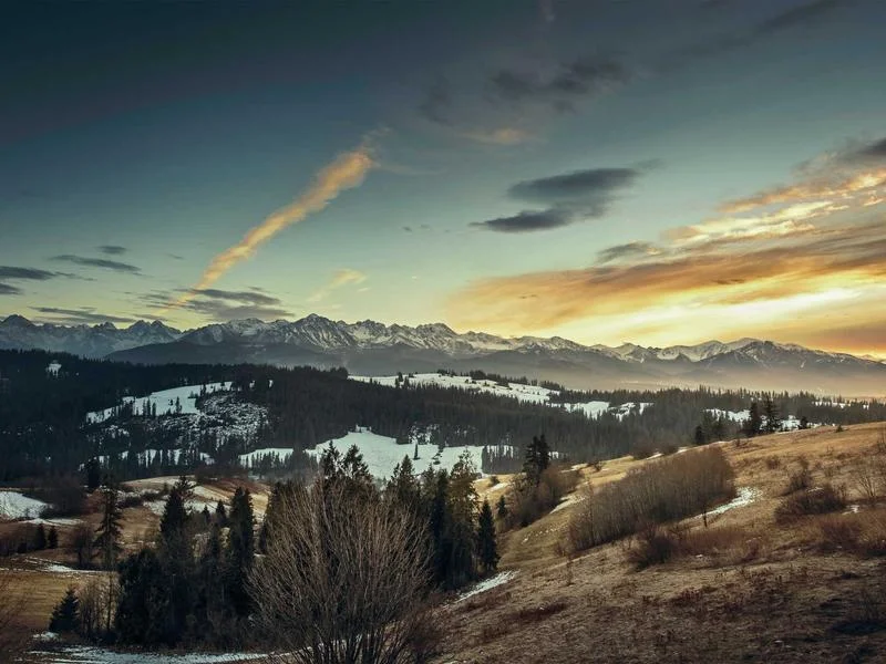 업소용오픈다단쇼케이스업체추천 - 전문가와의_설비_상담