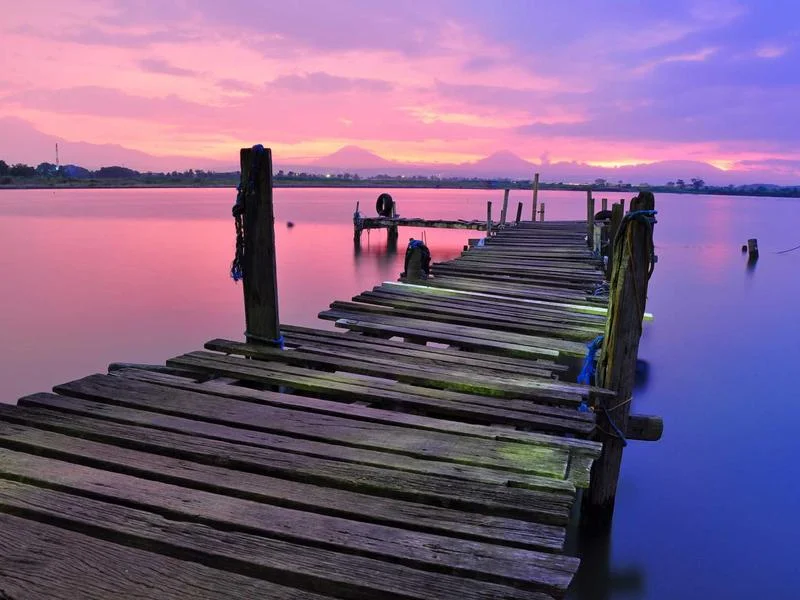 업소용오픈다단쇼케이스저렴한곳 - 신선도가_유지되는_진열_상태