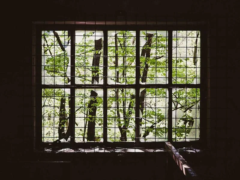 업소용냉장쇼케이스견적문의 - 2026년_최신_쇼케이스