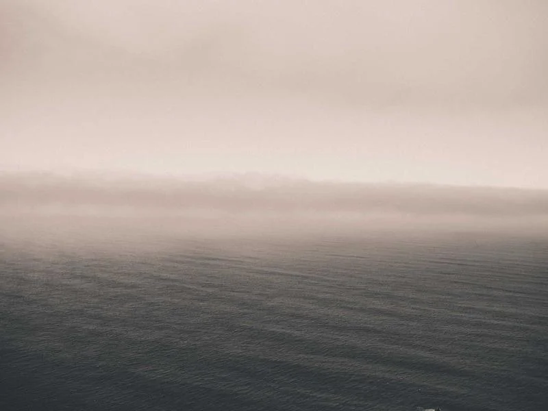 업소용냉장쇼케이스제품 - 전문가가 추천하는 쇼케이스