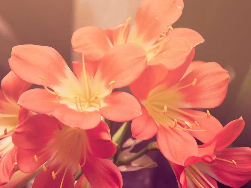 업소용냉장쇼케이스제품추천 - 철저한_사후관리와_점검