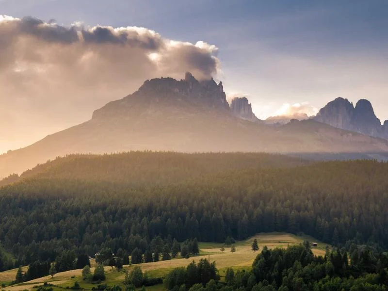 반찬가게쇼케이스업체추천 - 프리미엄_매장_연출