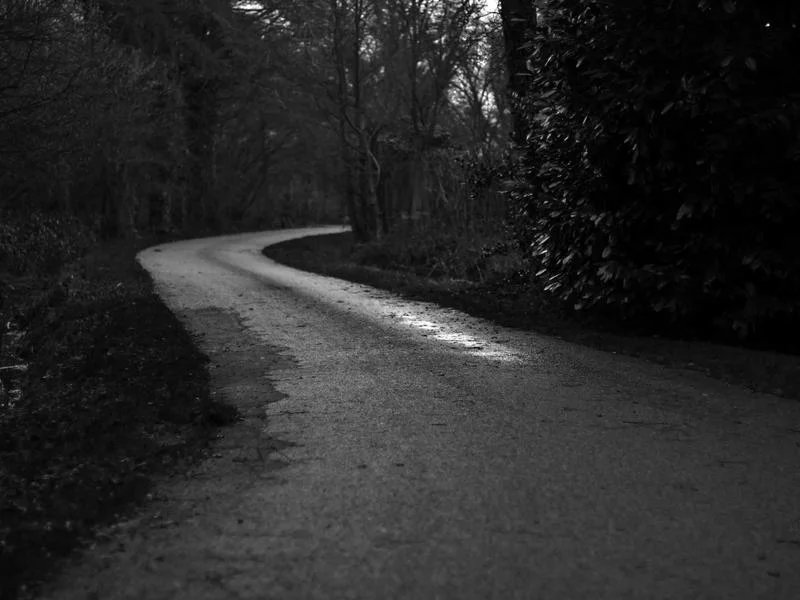 반찬가게냉장고설치 - 프리미엄_냉장고_디테일