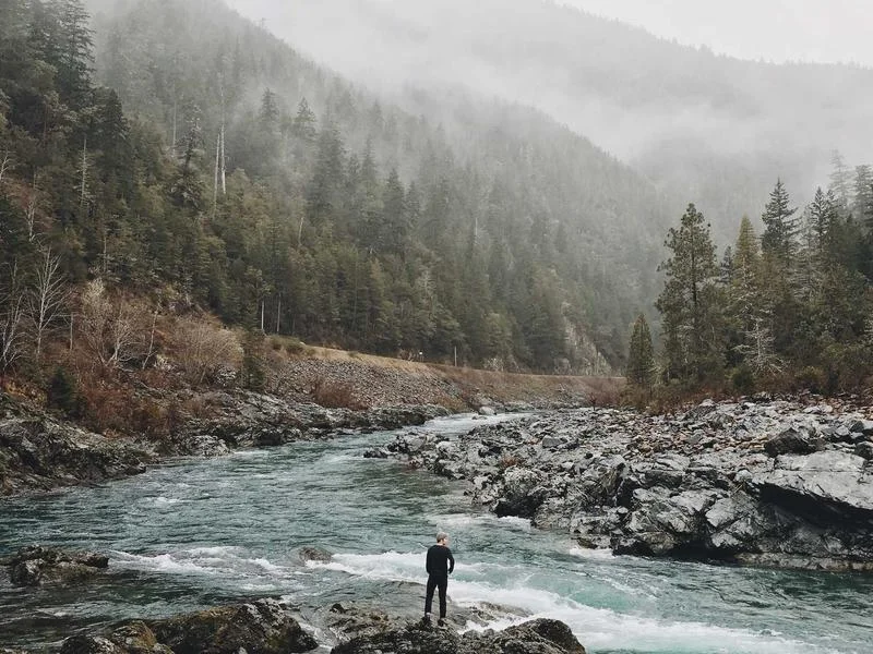 반찬가게냉장고견적 - 2026 반찬가게 냉장고 배치 전략
