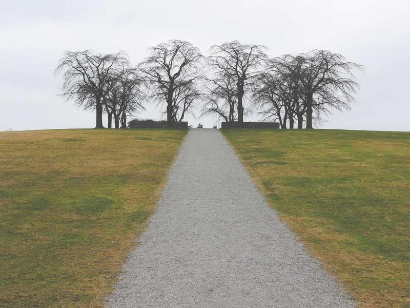반찬가게냉장고견적 - 하이엔드 쇼케이스의 압도적 비주얼