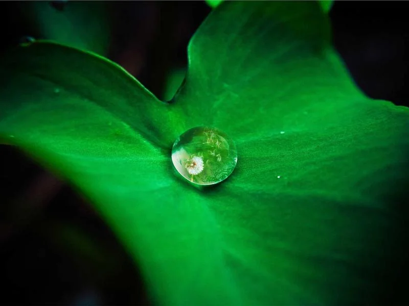 반찬가게진열장업체추천 - 신선함을_지키는_진열