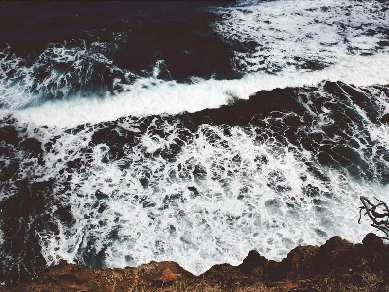 반찬가게오픈쇼케이스저렴한곳 - 전문_설치_팀의_안전한_운반_과정