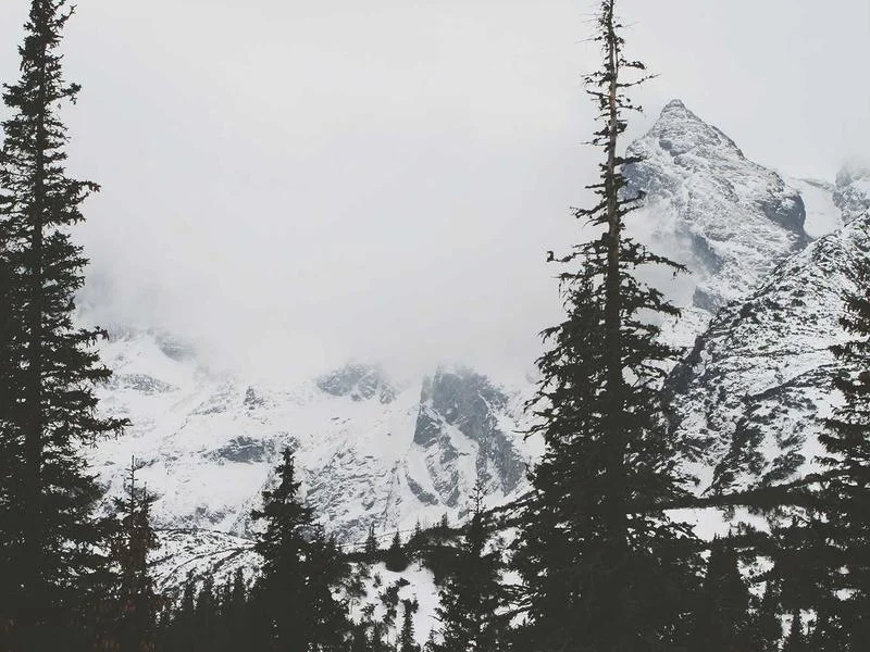 반찬가게뒷문쇼케이스저렴한곳 - 선명한_내부_확인이_가능한_페어유리