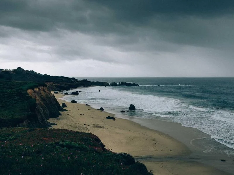 반찬가게오픈다단쇼케이스맞춤제작 - 정밀한_맞춤_설치_현장