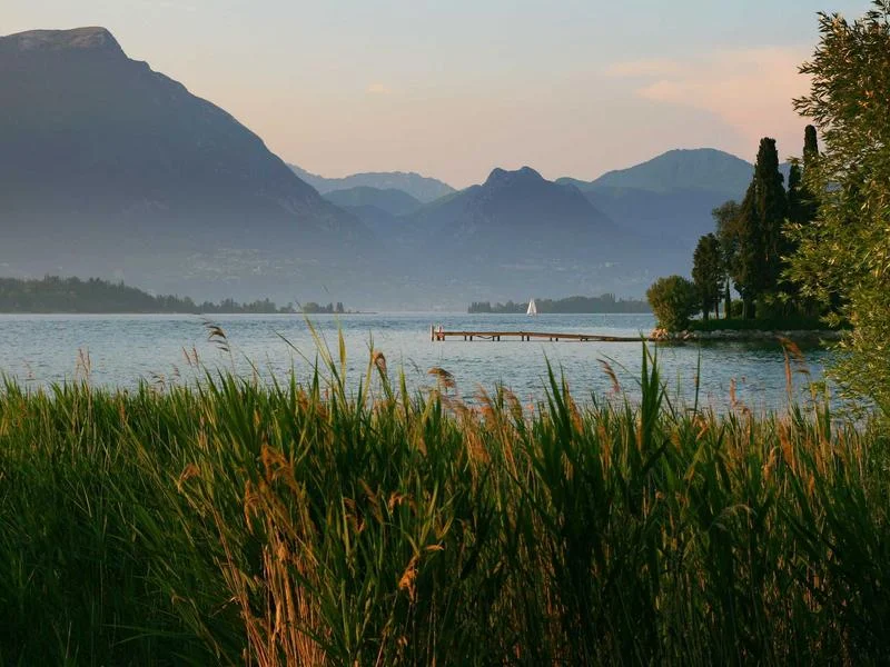 반찬가게오픈다단쇼케이스견적 - 2026년형_최신_반찬쇼케이스