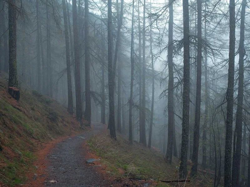 정육점용쇼케이스업체추천 - 2026년형 정육 쇼케이스