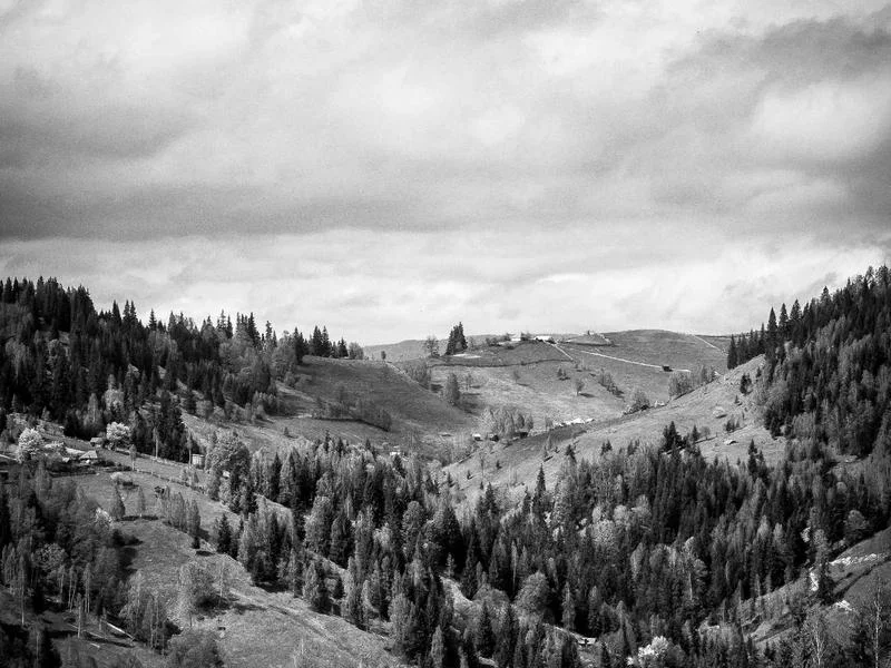 정육점용쇼케이스업체추천 - 철저한 사후 관리 서비스