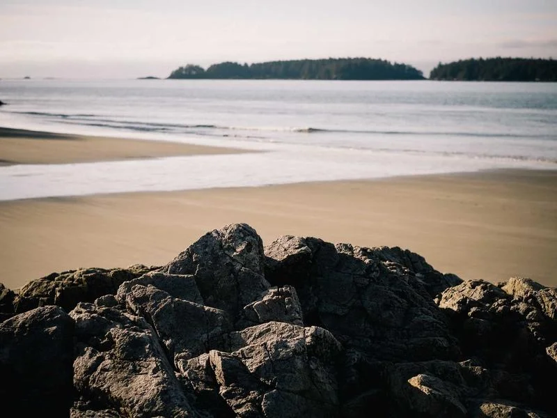 정육점용냉장고추천 - 신선도가_살아있는_진열