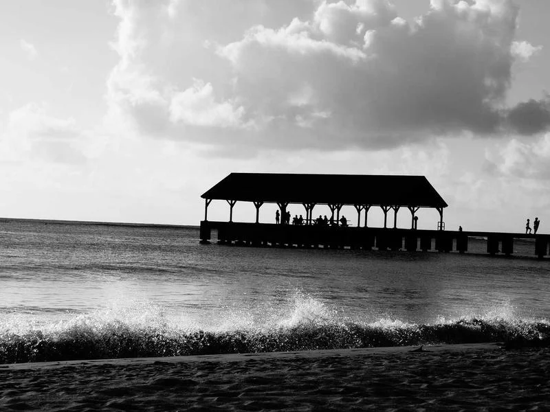 정육점용냉장고견적문의 - 2026년형_정육쇼케이스