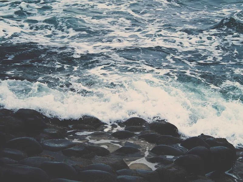 정육점용냉장고제품추천 - 2026년형 정육 쇼케이스 선택 가이드