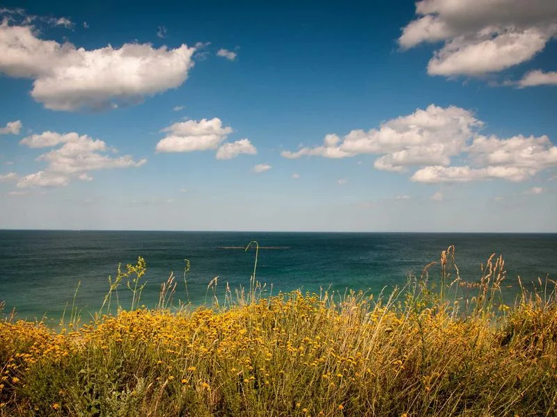 정육점용알루미늄쇼케이스맞춤제작 - 정밀한_제작_공정