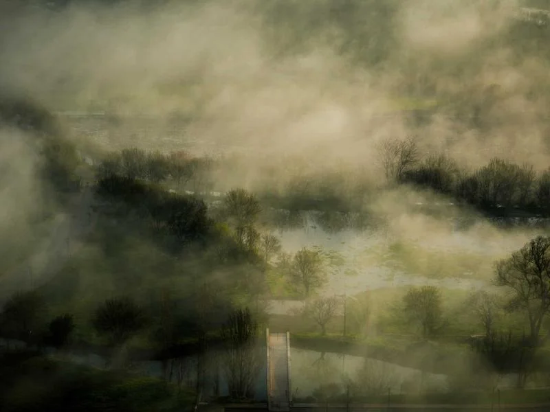 정육점용LED쇼케이스업체 - 2026년형_고효율_정육_쇼케이스