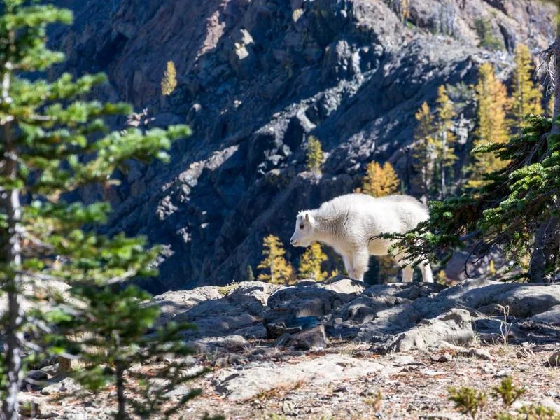 정육점용LED쇼케이스업체추천 - 신뢰할_수_있는_업체선정
