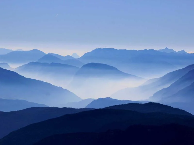 정육점용LED쇼케이스저렴한곳 - 정육점_쇼케이스_선택가이드