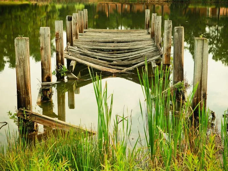 정육점용LED쇼케이스제품 - 매장 분위기와 조화로운 쇼케이스 배치