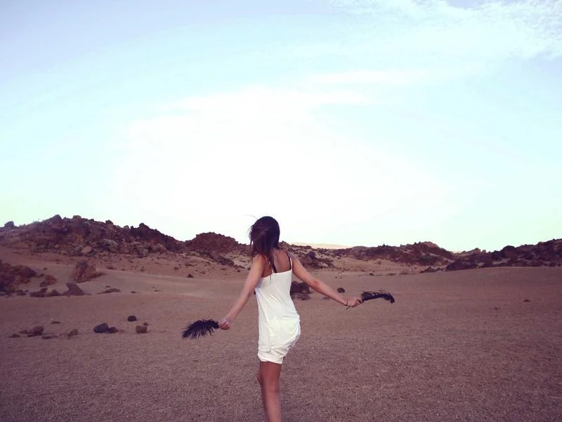 정육점용오픈쇼케이스저렴한곳 - 2026년 최신 정육 쇼케이스