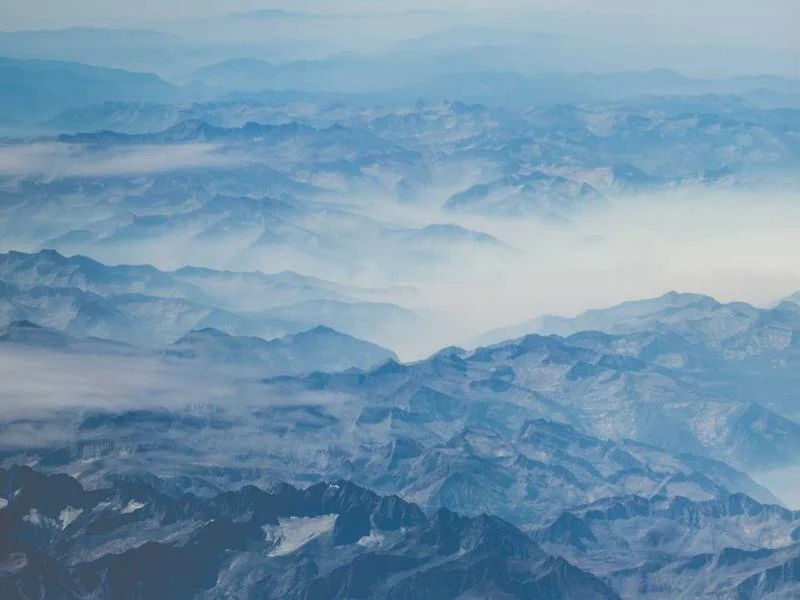 정육점용뒷문쇼케이스설치 - 세련된_매장_인테리어_완성