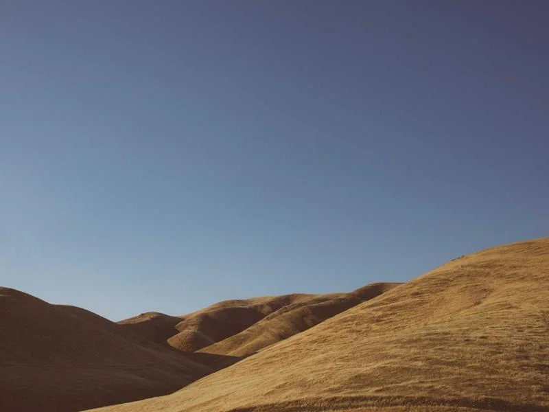 정육점용뒷문쇼케이스업체 - 매장_분위기를_결정하는_프리미엄_디자인